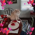Faith Holder-Fossett - @holderfossett - Instagram