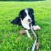 Faith Hook - Facebook