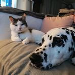 Faith Howell - Facebook