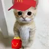Faith - @faith.hulla - TikTok