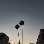 Faith Hull - @faithhull1902 - Instagram
