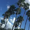 Jokes - @faith.hutton28 - TikTok