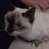 Faith Irwin - @faith.irwin1 - TikTok