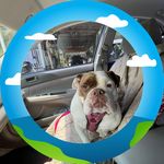 Faith Joyner - @faithj62 - Instagram