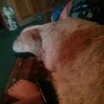 Hunter Faith Lowery - @faith_lowery_and_gods_prayers_ - Instagram