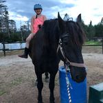 Faith Marsh - @faithmarsh2008 - Instagram