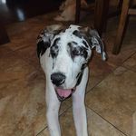 Faith Lea Meeks - @faithhereforu - Instagram