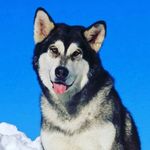 Faith - @faith_needham1 - Instagram