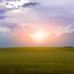 Needham Faithe - Facebook