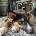 Faith Park - Facebook