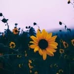 Faith Rios - @faith.rios.501 - Instagram
