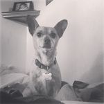 Faith Roach - @sparkplug456 - Instagram