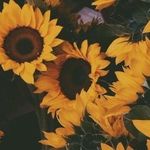 Faith Roach - @faif.ums - Instagram