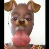 Faith Rock - @lil_faith135 - TikTok
