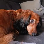 Faith schulze-othersen - @schulzeothersenfaith - Instagram