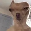 🥷Idek4Real💯 - @faith_its_self - TikTok