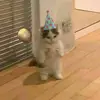 faithisneeded_ - @faithisneeded_ - TikTok