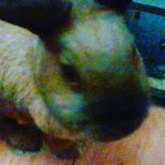 faith Stricker 57 - @faithstricker5 - Instagram