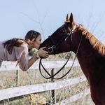 Faith Stuart - @faithstuart_eventing_ - Instagram
