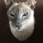Faith Sumner - @fifisum55 - Instagram