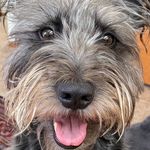 Faith Terrell-Soukup - @faithterrellsoukup - Instagram
