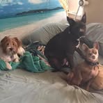 Faith Tryon - Facebook