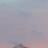 faithwakefield - @_faithsbackupaccount_ - TikTok