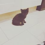 faith walters - @faithw2006 - Instagram