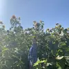 Faith Warner - @faith.warner04 - TikTok