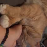 Faith Waters - @lucid_world420 - Instagram