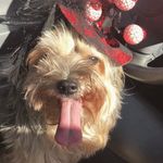 Faith webb - @faithellawebb345 - Instagram