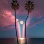 Faith Wickwire - Facebook