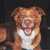 Faith Wise - Facebook