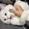 faithyang - @faithyang54 - TikTok