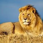 mansour faiz - @mansour.faiz - Instagram