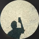 Faiz Mohammad - @faizmuhammad8505 - Instagram
