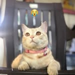 Faiz SaiFi - @faizsaifi_____ - Instagram