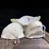 Faiz Salim - @faiz.salim.1975 - TikTok