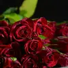 faiza.altaf - @faiza.altaf - TikTok