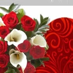 Faiza Babar - @fezi_malik9 - Instagram