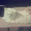 ...!🦋Faiza Islam🦋!.. - @faija.pagli12 - TikTok