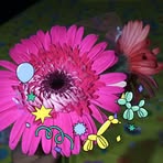 Faiza Islam - Facebook