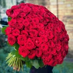 Faiza Khatoon - @faizakhatoon53 - Instagram