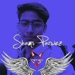 Faiza Khatoon - @shams_parwez_20_30 - Instagram