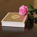 Faiza Munir - @munir.faiza - Instagram