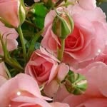 Faiza Munir - @faiza.munir.509 - Instagram