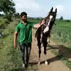 faizanquadri - @faizanqqa - TikTok