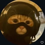 Faiza Rasheed - @_faizarasheed - Instagram