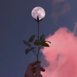 Faiza Rasheed - @faizarasheed34 - Instagram