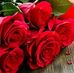 Faiza Raza - Facebook